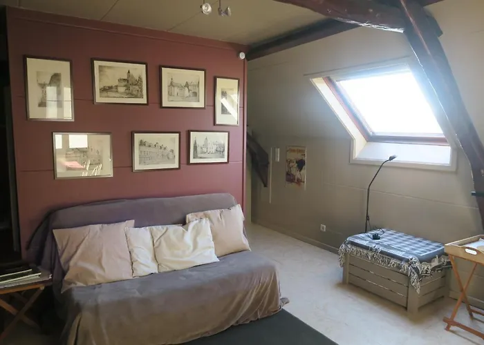 B&B / Studio De Druivelaar in hartje Kluisbergen (Berchem)